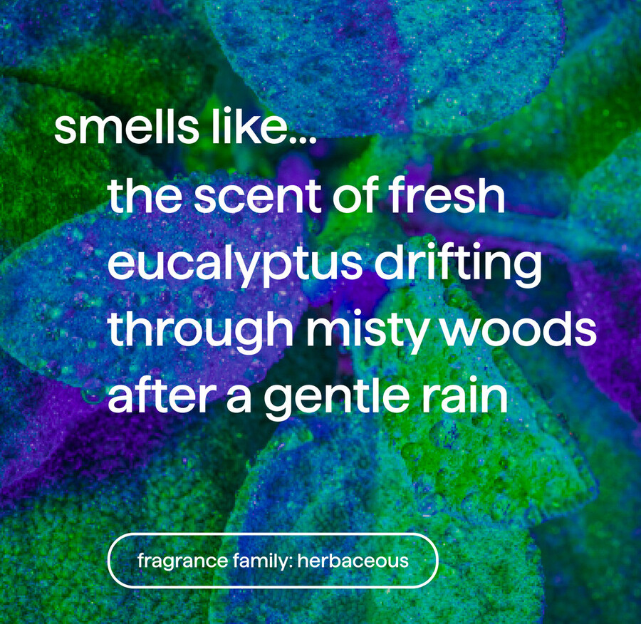 foaming hand wash
